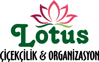 Mersin Mezitli Çiçekçilik - Lotus Çiçekçilik
