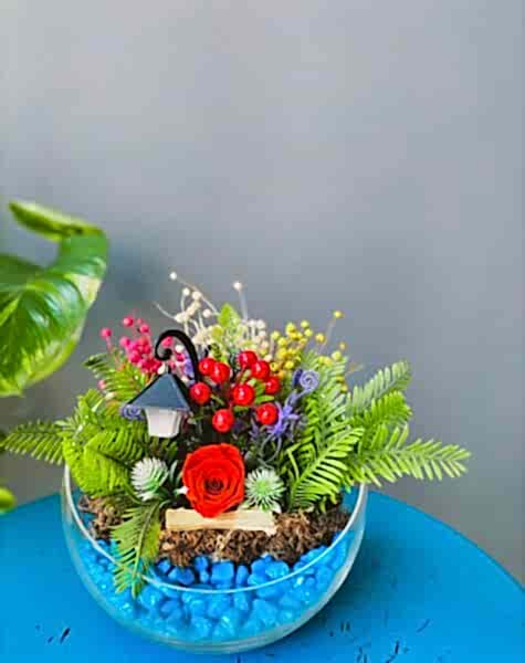IMG20221014090923
